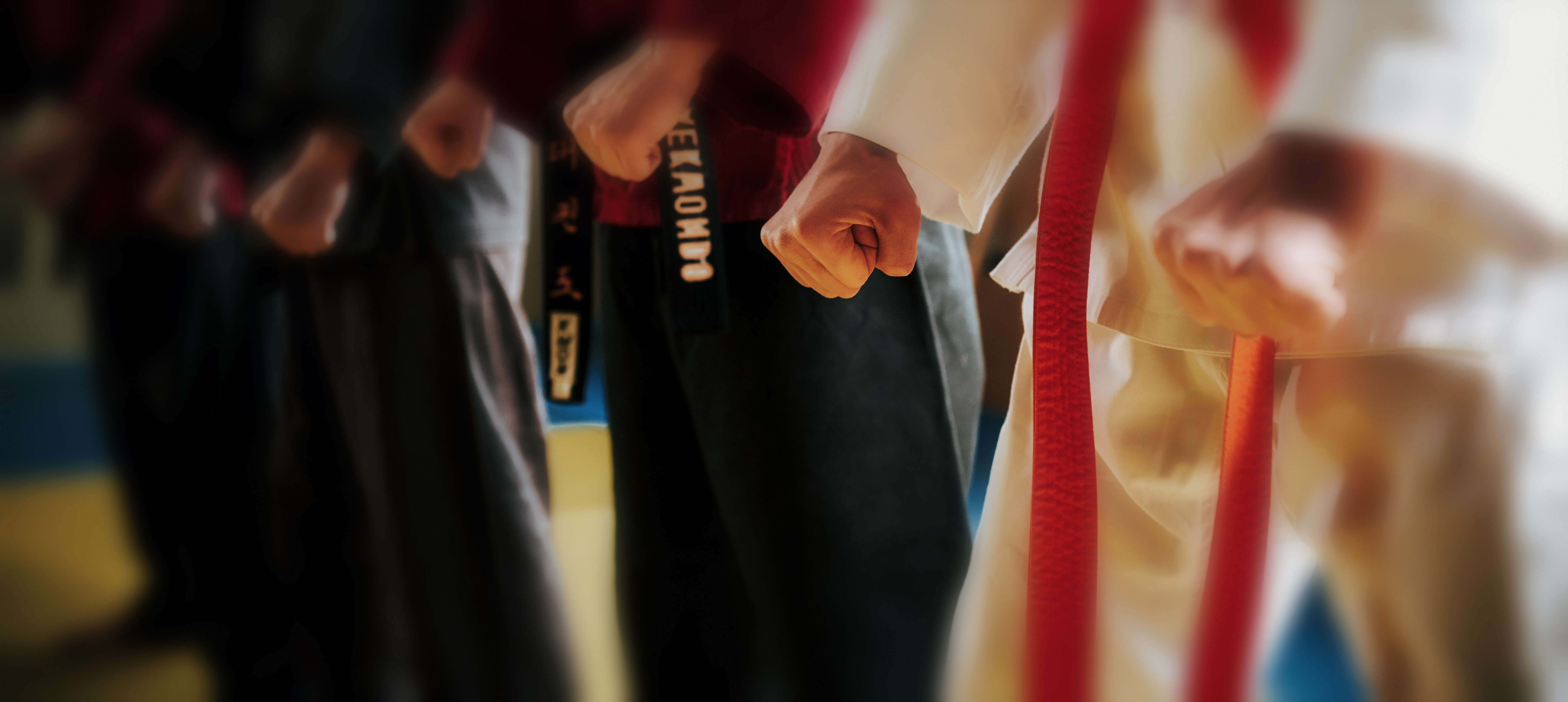 PROBETRAINING